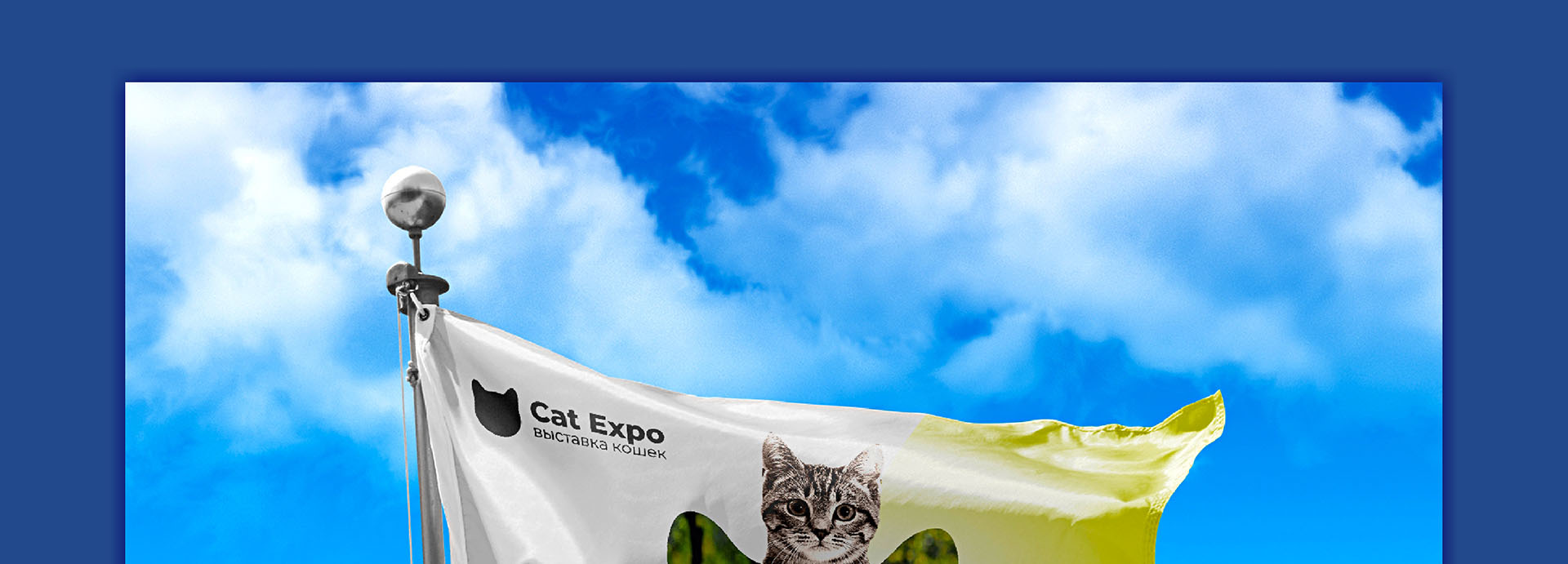 Cat Expo 5
